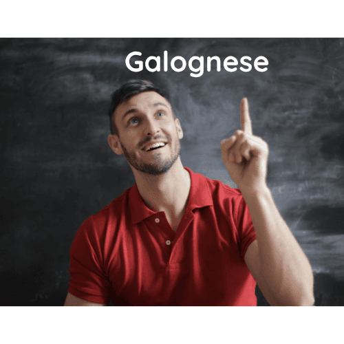 Partagez vos idées pour améliorer Galognese