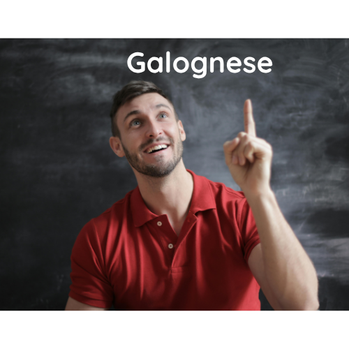 Partagez vos idées pour améliorer Galognese